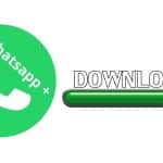 Download Whatsapp Plus Apk