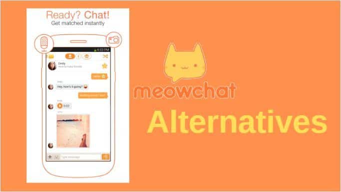 meowchat