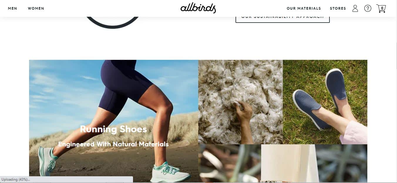 Allbirds.com