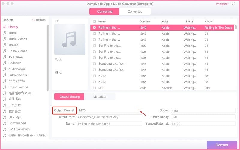 Set DumpMedia Output Setting