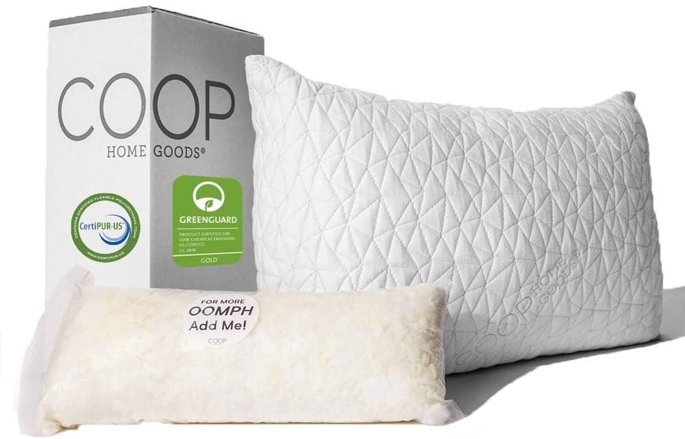 Coop Home Goods premium pillow