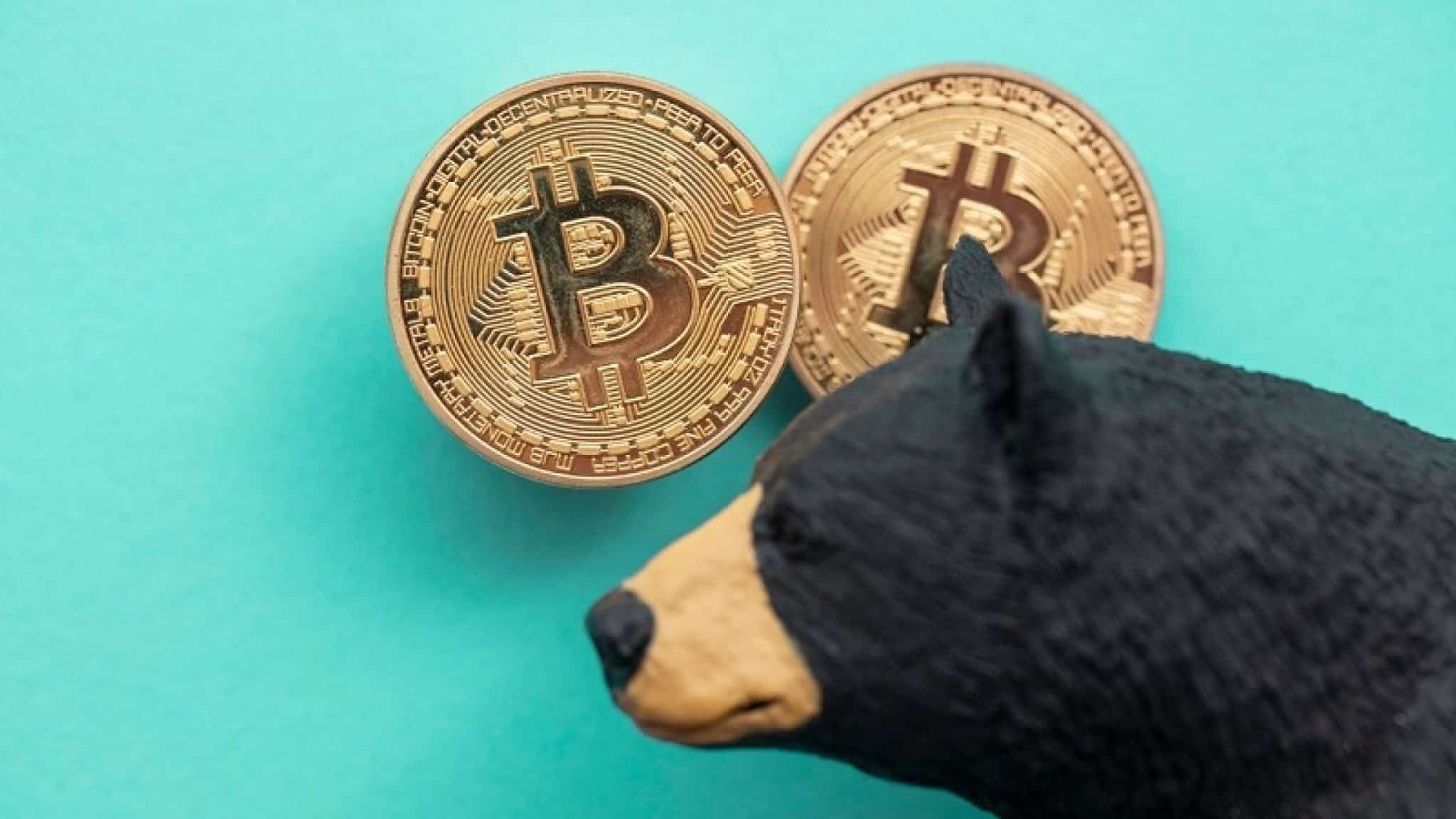 free courses to become a bitcoin expert free courses to become a bitcoin expert