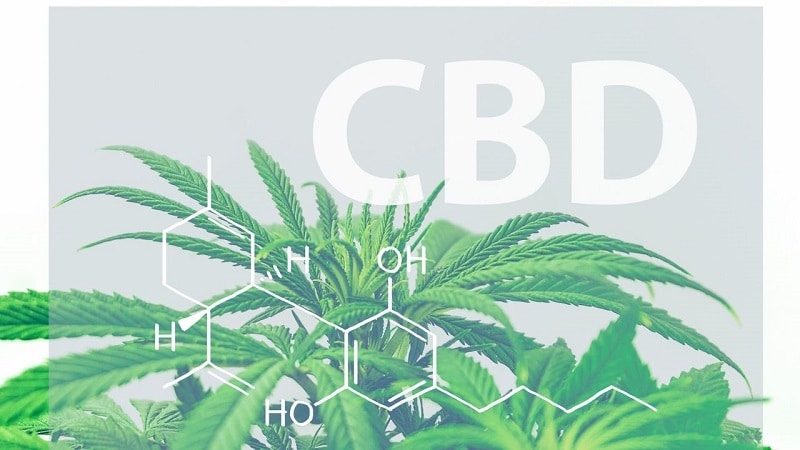 Cannabidiol