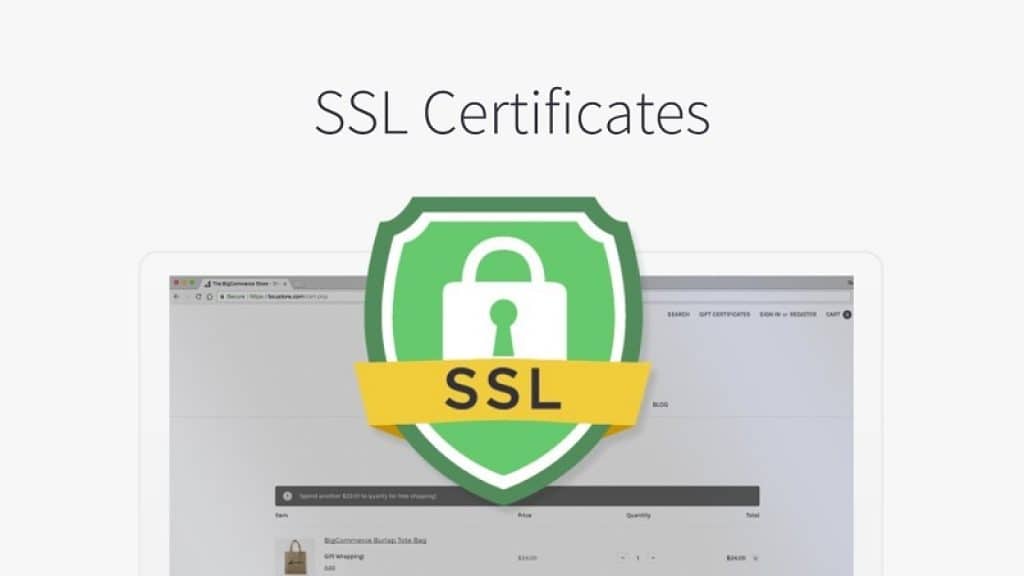 Check For SSL Certification