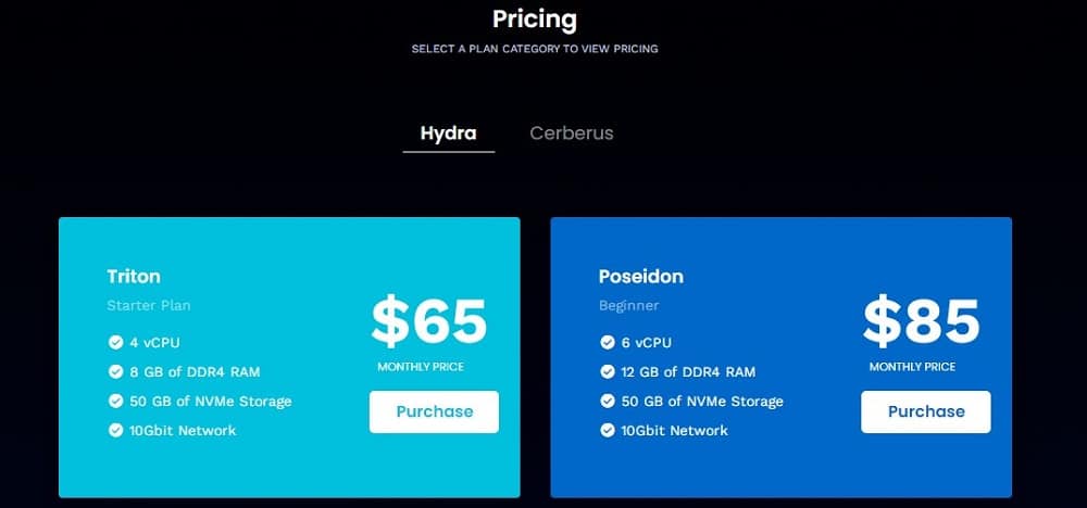 Hydra Servers price