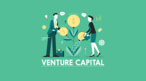 venture capital