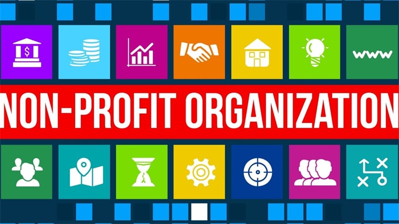 Non-Profit Organizations