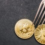 Bitcoin Forks