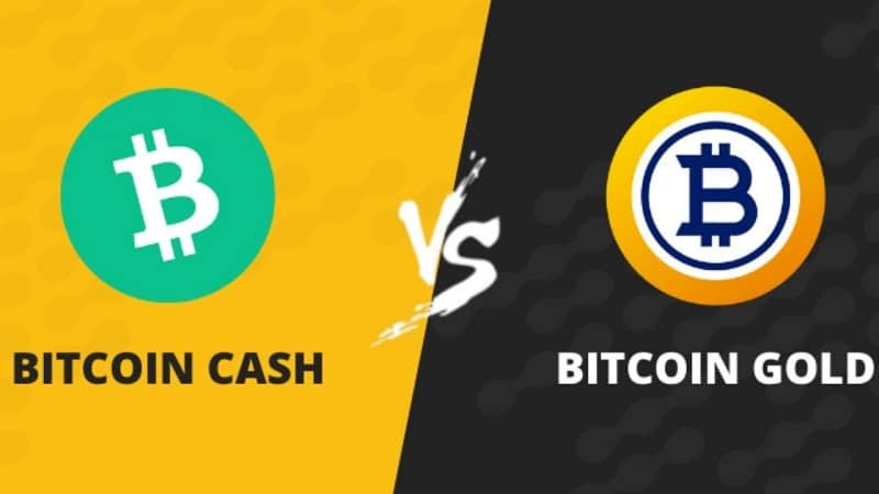 Bitcoin Gold and Bitcoin Cash