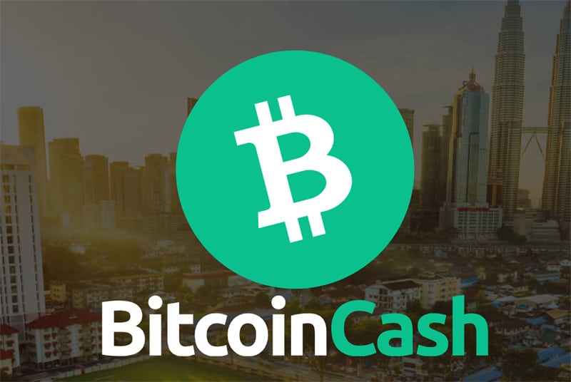 What Is Bitcoin Cash