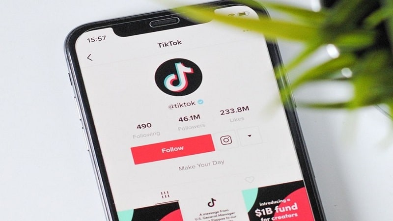 New TikTok Updates