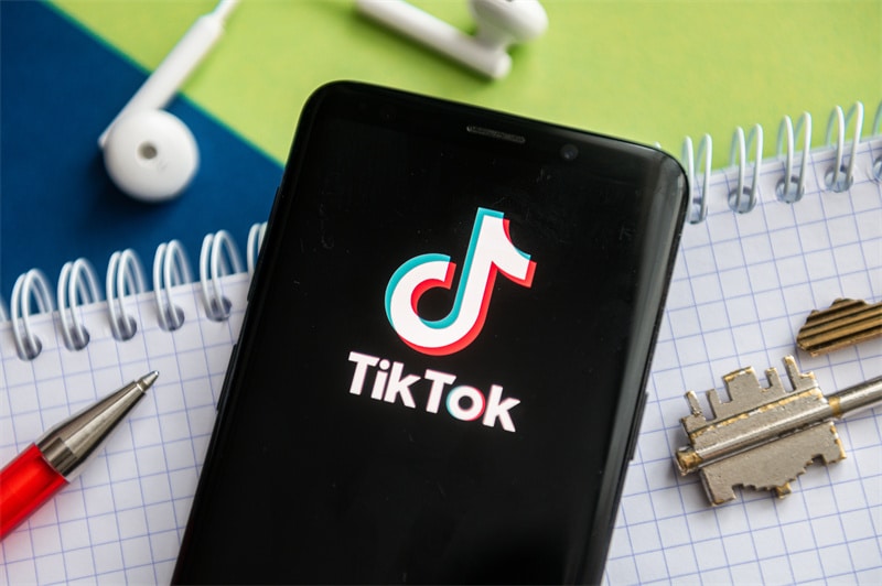 The Case of TikTok