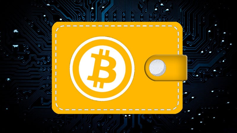 Best Crypto Wallet