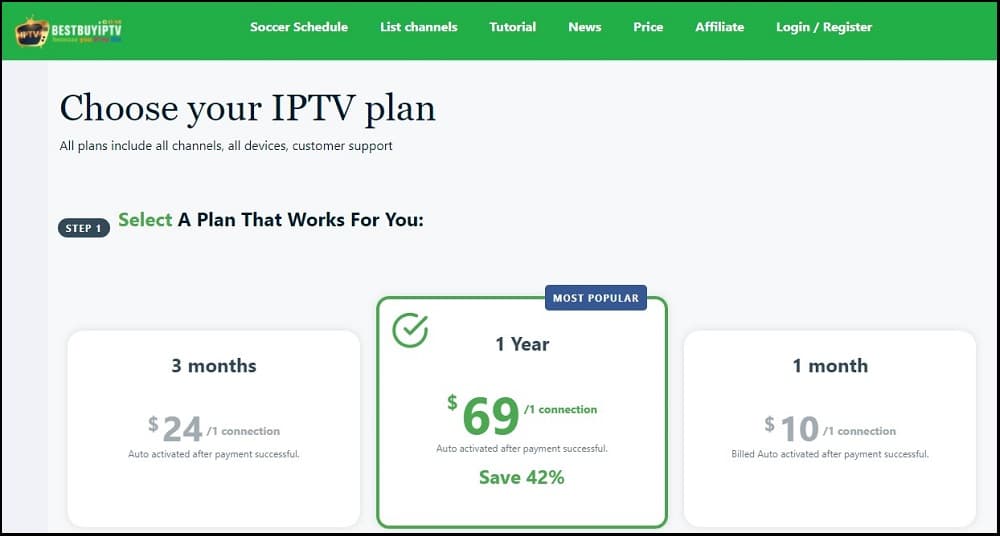 BestbuyIPTV overview