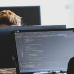 Firewall Monitoring For Business