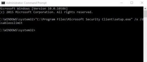 Program Files-Microsoft Security Client