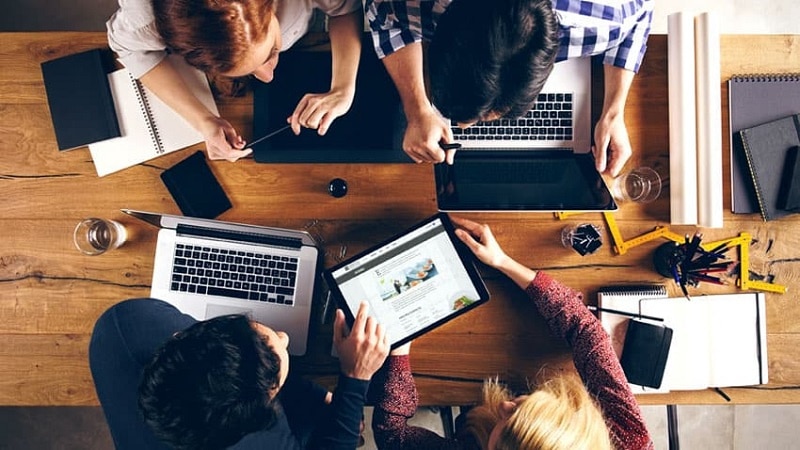 Web Development Team