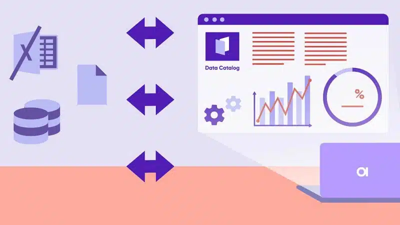 Metadata Management