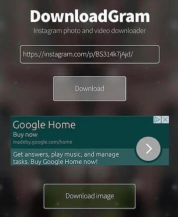 Paste the URL into DownloadGram