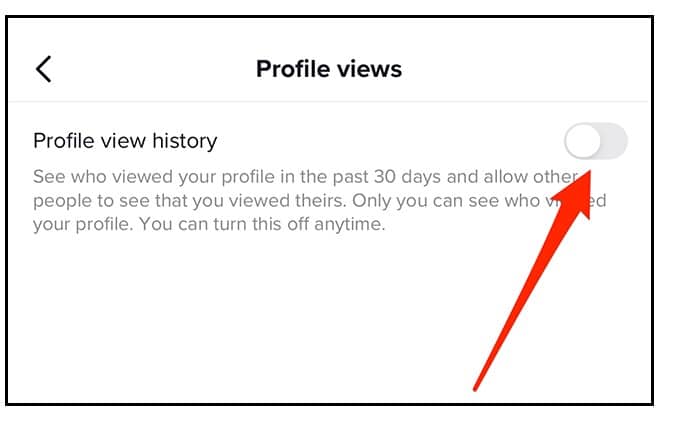 Click on the toggle button beside the Profile View History