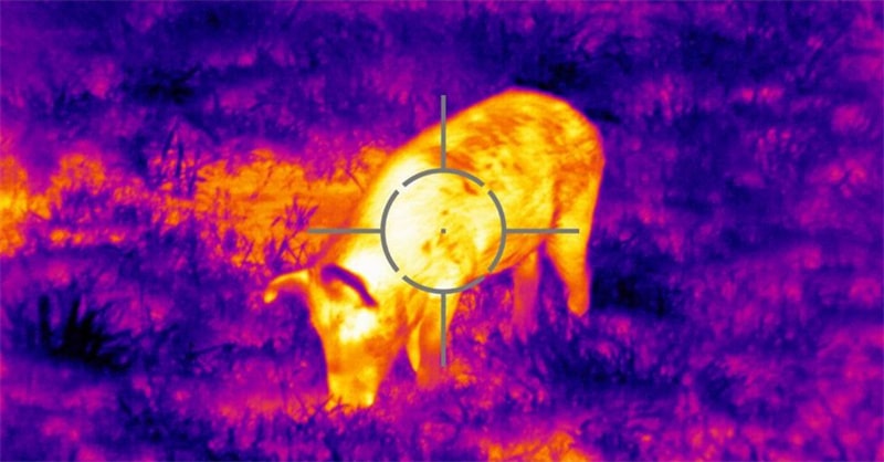 Infrared and thermal scopes