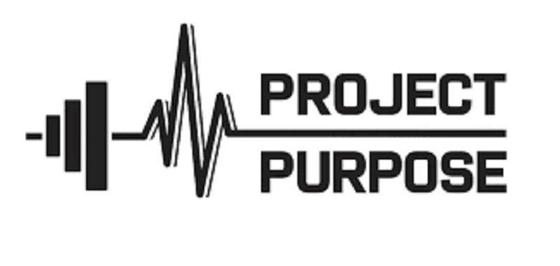 Project's Purpose