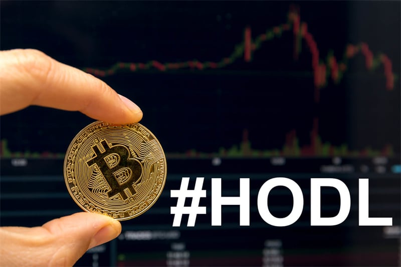 Buy And Hold (HODL)