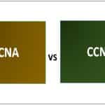 Cisco CCNP or CCNA