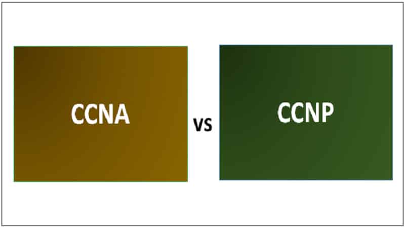 Cisco CCNP or CCNA