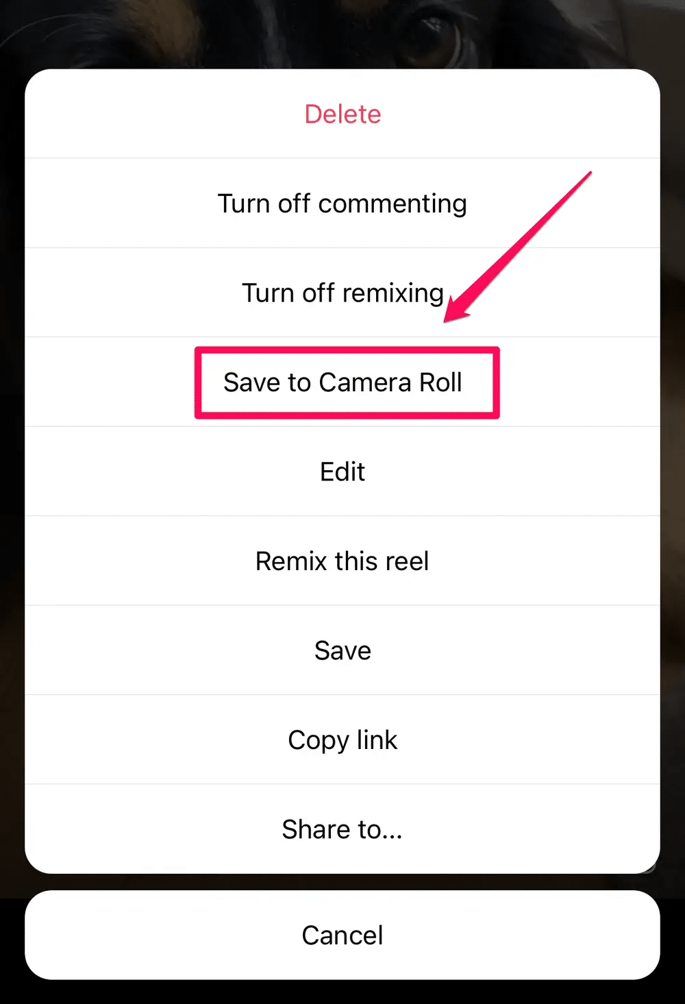 Save to Camera Roll