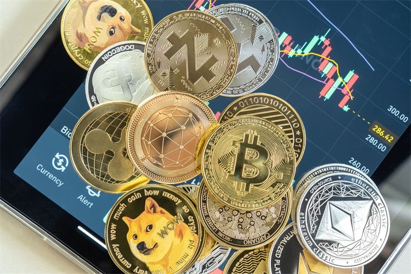 What Is the Best Cryptocurrency To Invest in Right Now