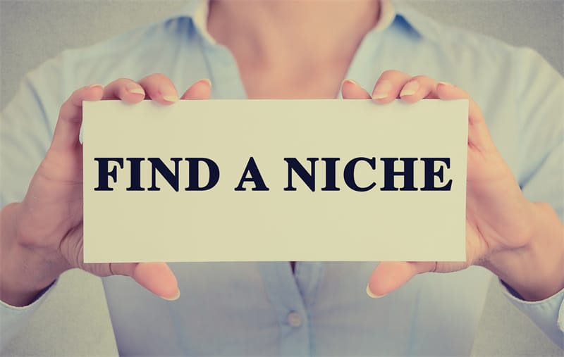 Choosing your niche