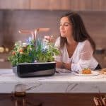 Tech Devices to Take Your Home Gardening to the Next Level