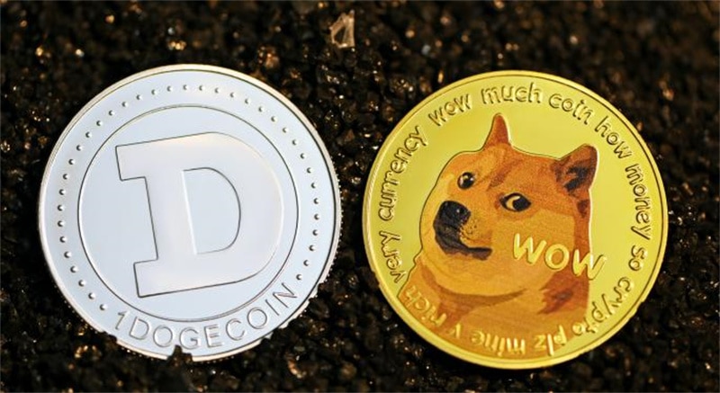 Dogecoin's Potential Future