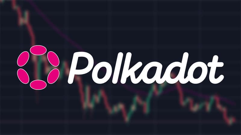 The Expansion in the Future of Polkadot
