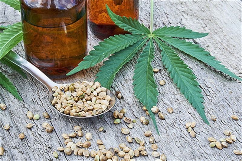 What is CBD Oil