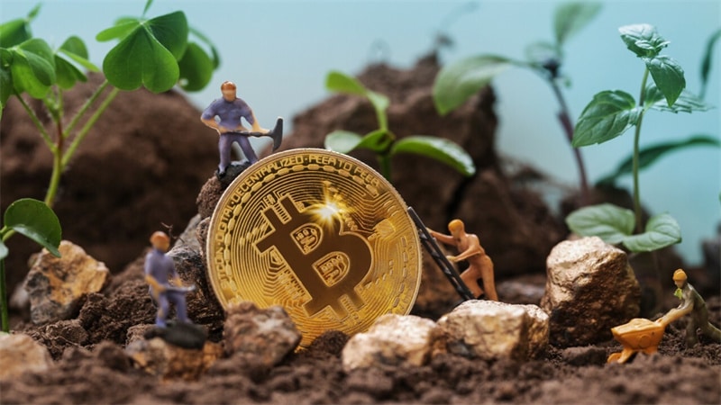 The Environmental Impact of Traditional Cryptocurrencies