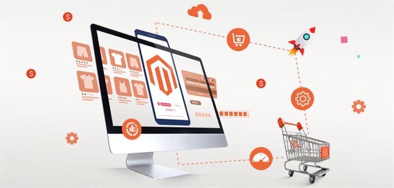 Assess Your Current Magento Store
