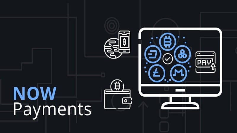 How NOWPayments Works