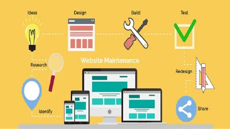 Website Maintenance and Support