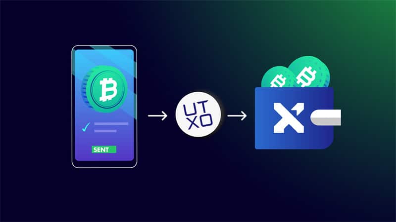 Security Best Practices for UTXO Wallets