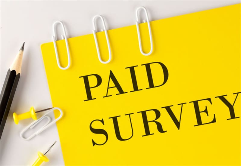 What are Paid Surveys