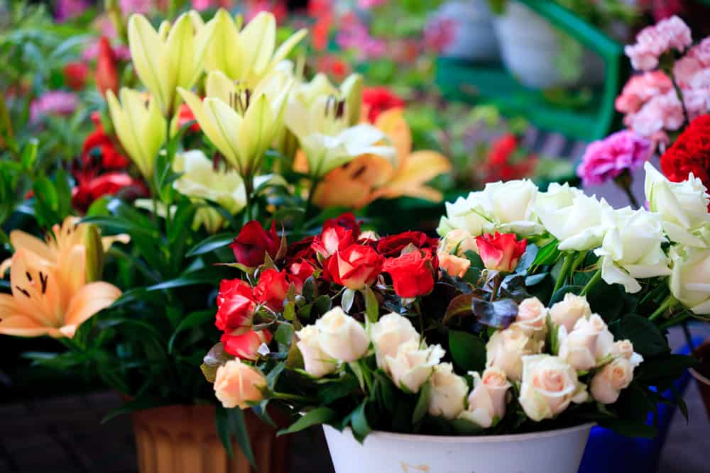 Types of flowers at WinCo chain stores