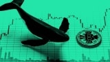 A Whale Attacked by Binance Piranhas