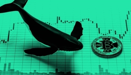 A Whale Attacked by Binance Piranhas