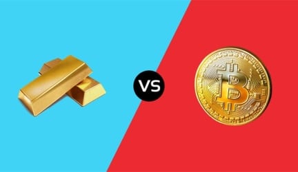 What Are Bitcoin Gold & Bitcoin Cash?