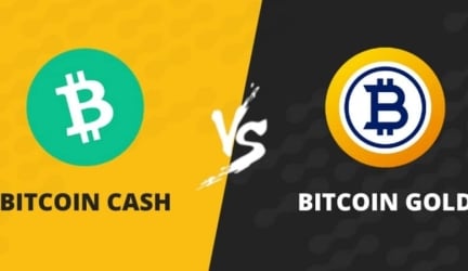 Differences Between Bitcoin Gold and Bitcoin Cash