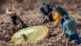 Cloud Mining vs Hosted Mining: Which One is More Profitable?