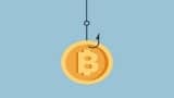 Different Scopes of Crypto Scams
