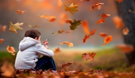 Life Lessons You Can Learn From the Fall Season